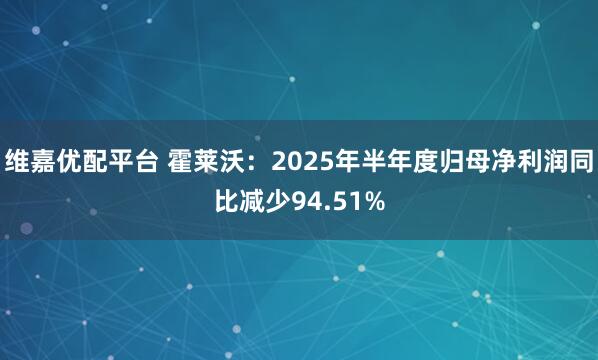 维嘉优配平台 霍莱沃：2025年半年度归母净利润同比减少94.51%